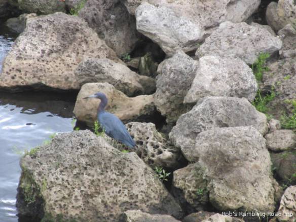 r3t2018-03-07_19-417