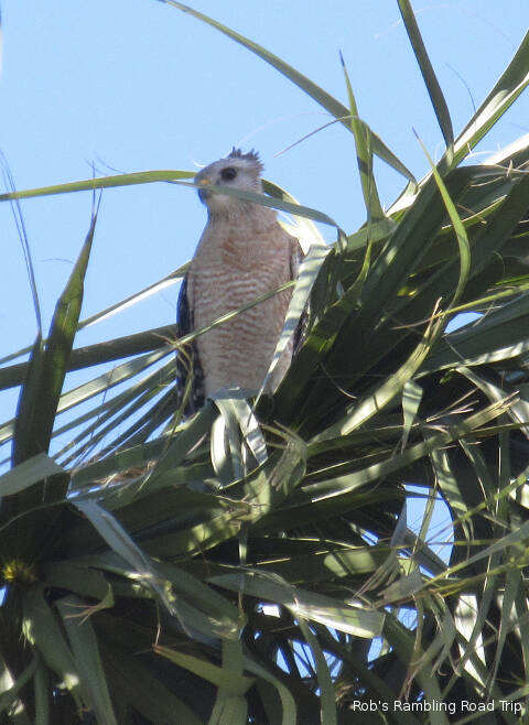 r3t2018-03-08_19-591