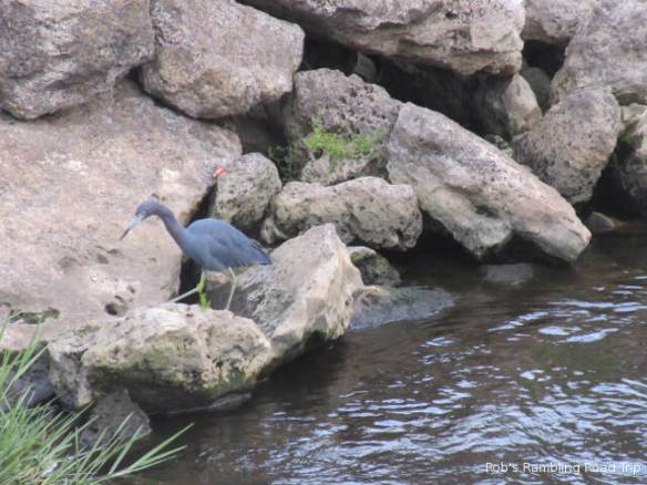 r3t2018-03-08_20-003