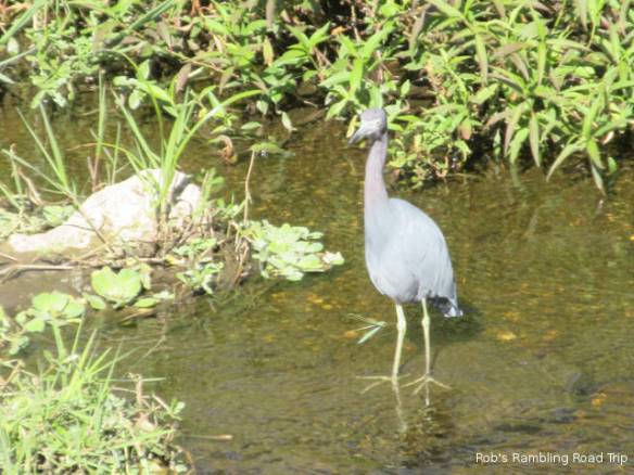 r3t2018-03-09_19-124