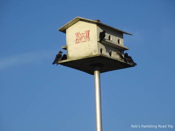 r3t2018-03-09_19-125