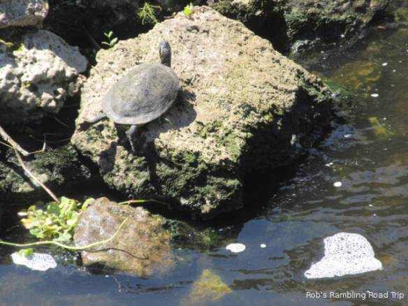 r3t2018-03-09_19-127