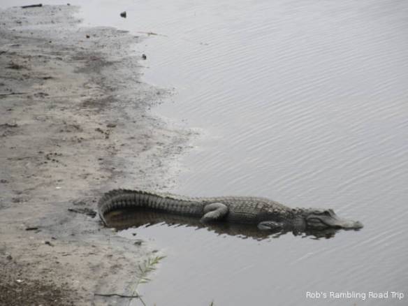 r3t2018-03-11_20-171