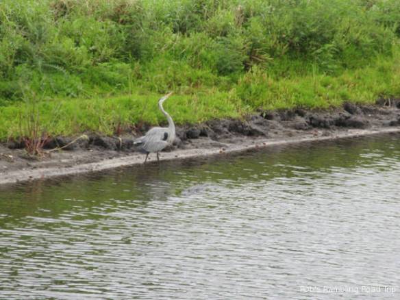 r3t2018-03-11_20-173