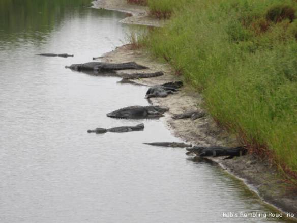 r3t2018-03-11_20-174