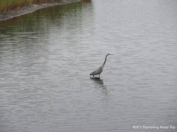 r3t2018-03-11_20-175