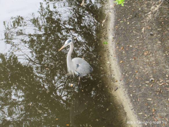 r3t2018-03-12_19-501