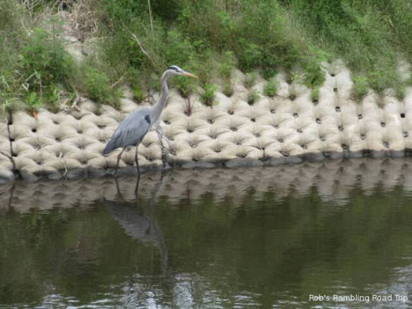 r3t2018-03-12_19-502