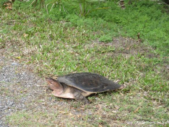 r3t2018-03-12_19-503