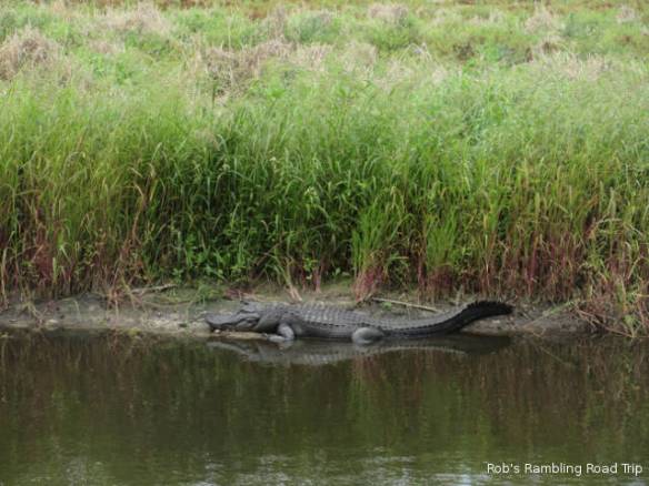 r3t2018-03-12_19-504