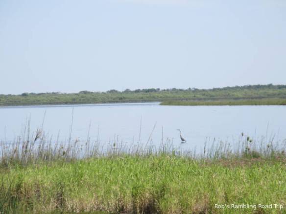 r3t2018-03-13_20-035