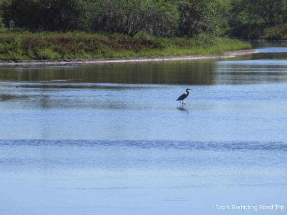 r3t2018-03-13_20-038