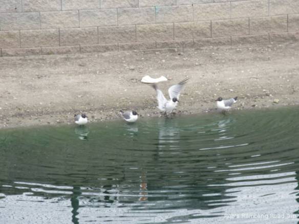 r3t2018-03-19_23-023