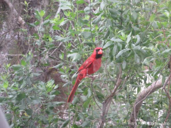 r3t2018-03-20_20-351