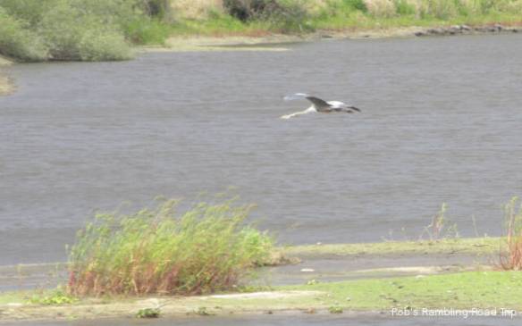 r3t2018-03-20_20-352