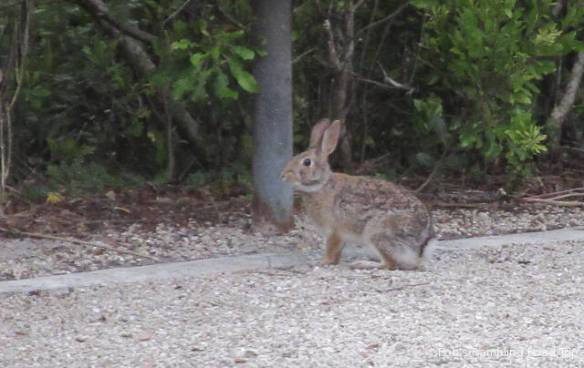 r3t2018-03-20_20-353