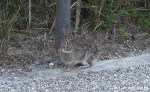 r3t2018-03-21_22-123