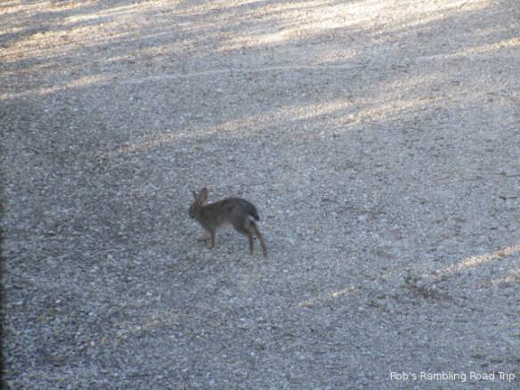 r3t2018-03-22_22-561