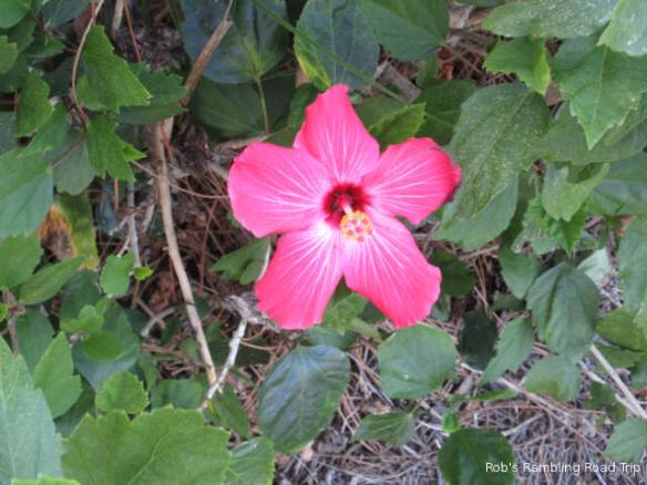 r3t2018-03-22_22-563