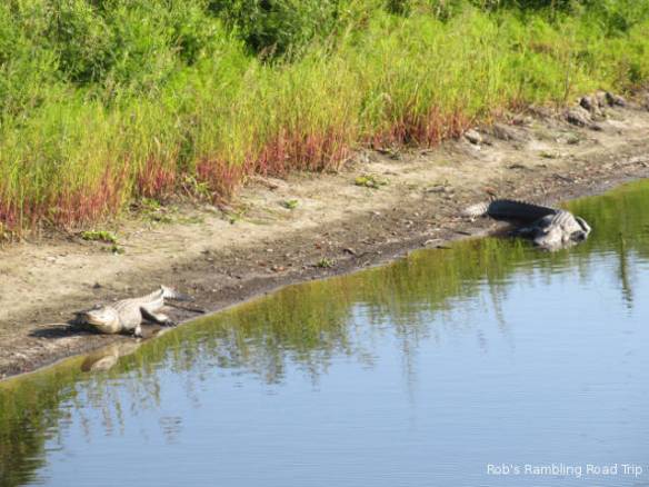 r3t2018-03-23_22-483