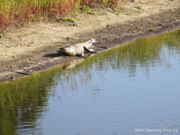 r3t2018-03-23_22-484