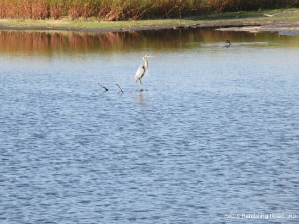 r3t2018-03-23_22-485