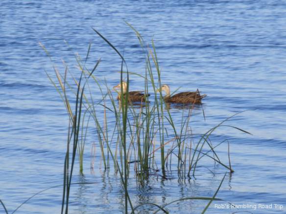 r3t2018-03-24_21-303