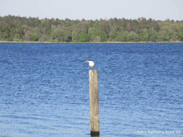 r3t2018-03-25_22-191