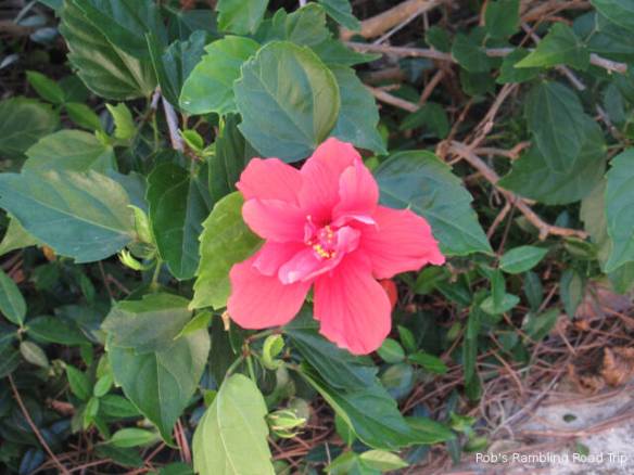 r3t2018-03-25_22-192