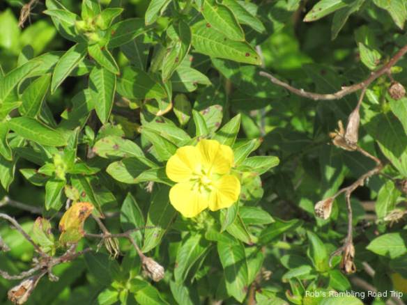 r3t2018-03-26_20-321