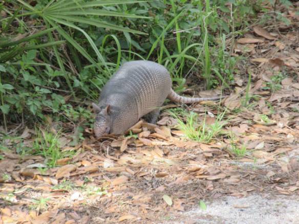 r3t2018-03-26_20-322