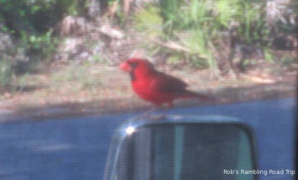 r3t2018-03-27_21-251