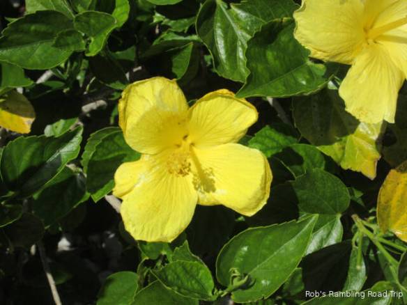 r3t2018-03-27_21-252