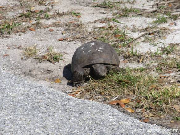 r3t2018-03-27_21-253