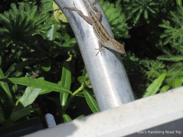 r3t2018-03-28_21-072