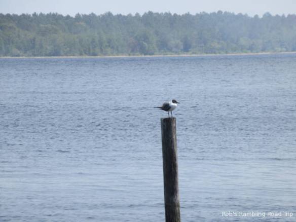 r3t2018-03-29_21-241