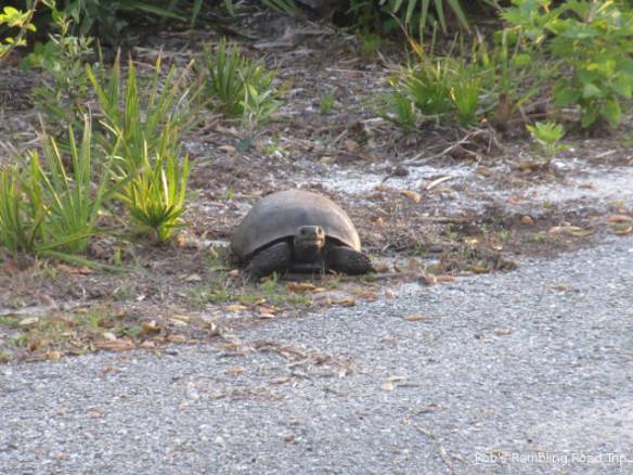 r3t2018-03-29_21-243