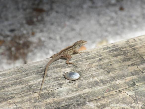 r3t2018-03-30_20-122