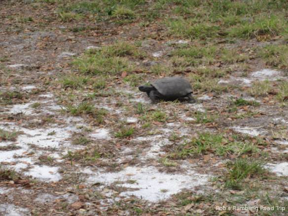 r3t2018-03-30_20-123