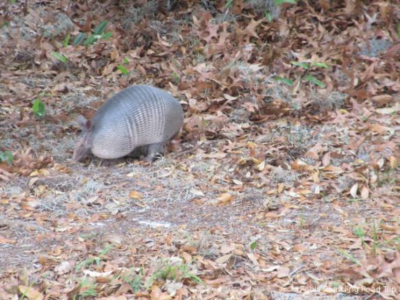 r3t2018-03-30_20-124