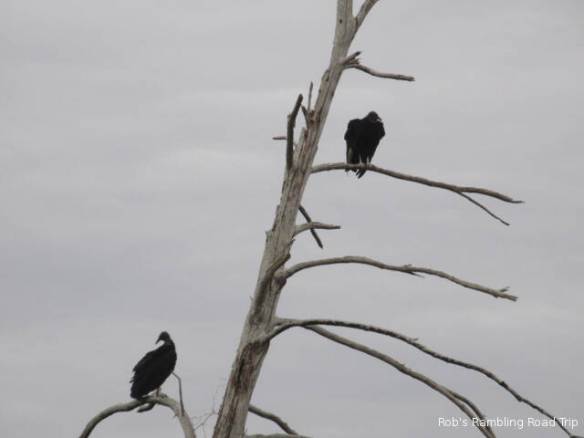 r3t2018-03-30_20-126