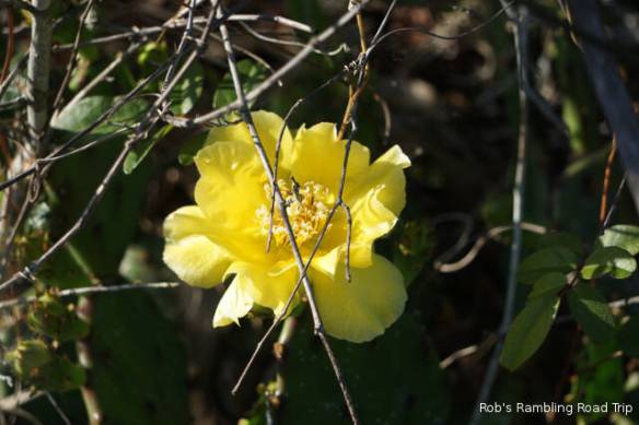 r3t2018-04-01_22-066