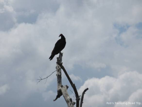 r3t2018-04-02_22-321