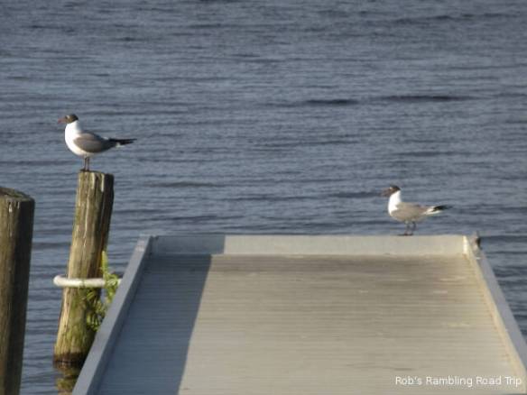 r3t2018-04-02_22-323