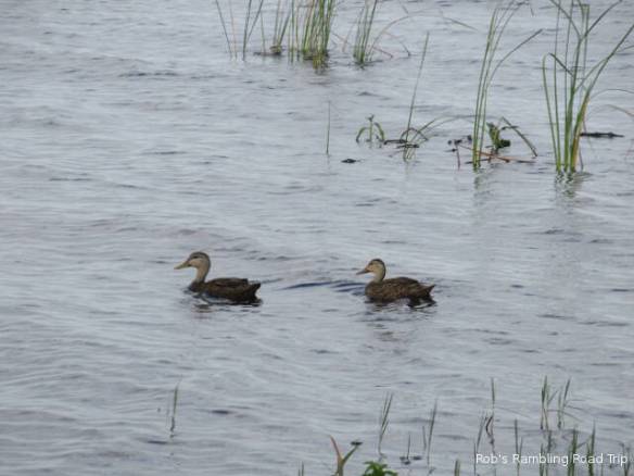 r3t2018-04-02_22-324