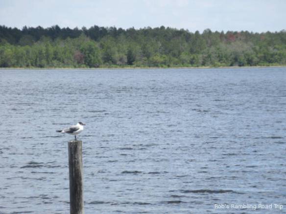 r3t2018-04-03_21-331