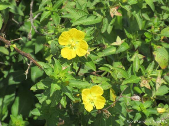 r3t2018-04-03_21-332