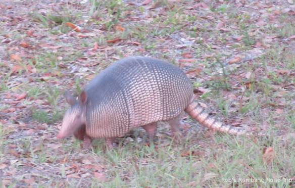 r3t2018-04-03_21-336