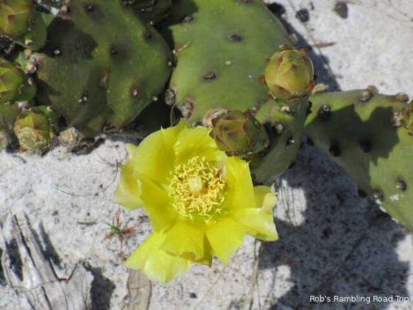 r3t2018-04-04_22-153