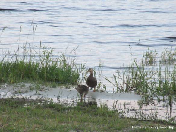 r3t2018-04-04_22-154